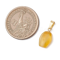 Gradient Color Natural Amber Pendants&nbsp;PALLOY-JF04930-02