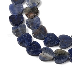 Natural Sodalite Beads Strands&nbsp;G-M403-A08-03