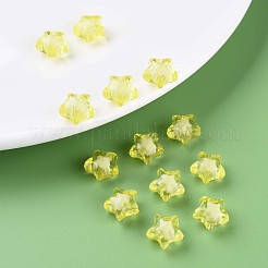 Transparent Acrylic Beads&nbsp;TACR-S152-01A-717