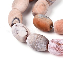 Dyed Natural Agate Beads Strands&nbsp;G-T144-29