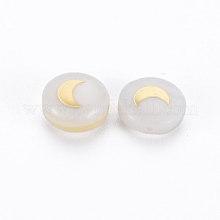 Natural Freshwater Shell Beads&nbsp;SHEL-N003-22-06