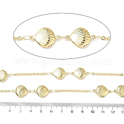 304 Stainless Steel Shell Shape Link Chains&nbsp;CHS-F025-12E-G