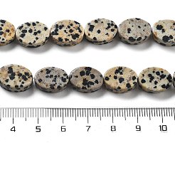 Natural Dalmatian Jasper Beads Strands&nbsp;G-P559-B08-01