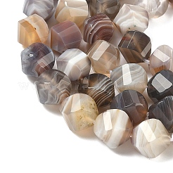 Natural Botswana Agate Beads Strands&nbsp;G-C267-B09