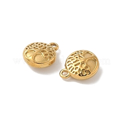 304 Stainless Steel Charms&nbsp;STAS-F320-02A-G