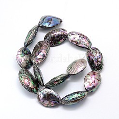 Natural Paua Shell Beads Strands&nbsp;SSHEL-J047-07A