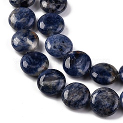 Natural Sodalite Beads Strands&nbsp;G-C159-A09-01