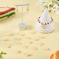 40Pcs Resin Pendants&nbsp;RESI-SC0006-88