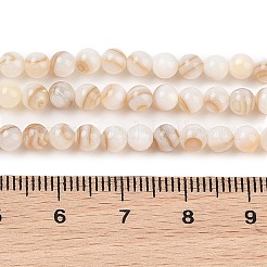 Natural Freshwater Shell Beads Strands&nbsp;SHEL-T011-02-2mm