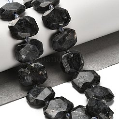 Natural Larvikite Beads Strands&nbsp;G-H078-B06-01