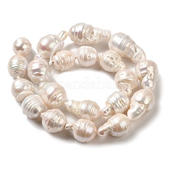 Natural Nucleated Pearl Beads Strands&nbsp;PEAR-E016-021