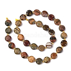 Natural Picasso Jasper/Polychrome Jasper Beads Strands&nbsp;G-C116-A118-01