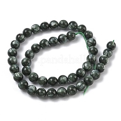 Natural Seraphinite Beads Strands&nbsp;G-C270-O01-07