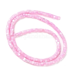 Natural Trochus Shell Dyed Beads Strands&nbsp;BSHE-E030-10C