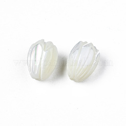 Natural Trochid Shell/Trochus Shell Beads&nbsp;SSHEL-T014-33