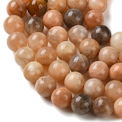 Natural Sunstone Beads Strands&nbsp;G-C268-B05-02