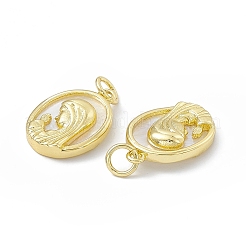 Rack Plating Brass Pendants&nbsp;KK-B065-13G