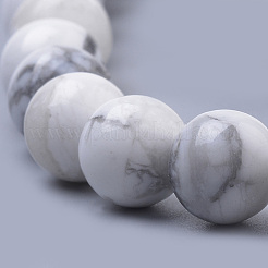 Natural Howlite Beads Strands&nbsp;G-S259-47-10mm