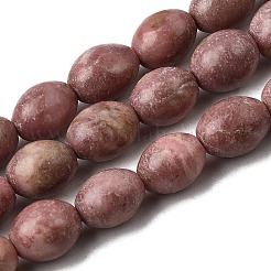 Natural Rhodonite Beads Strands&nbsp;G-K362-I05-02