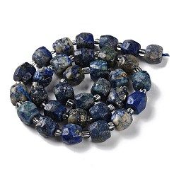 Natural Lapis Lazuli Beads Strands&nbsp;G-B065-A03