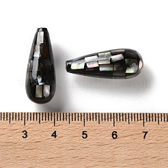Natural Black Lip Shell Beads&nbsp;SSHEL-B002-10B-01