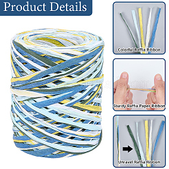 6 Colors Raffia Paper Cords&nbsp;OCOR-WH0063-110C