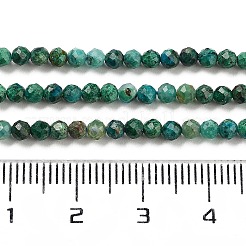 Natural Chrysocolla Beads Strands&nbsp;X-G-P514-A03-02-01