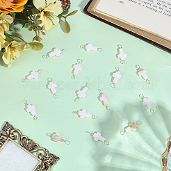 32Pcs Natural Freshwater Shell Connector Charms&nbsp;FIND-ME0004-28S