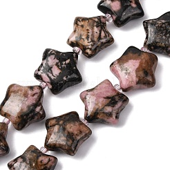 Natural Rhodonite Beads Strands&nbsp;G-K359-E08