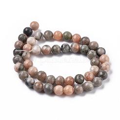 Natural Zebra Jasper Beads Strands&nbsp;G-F676-01