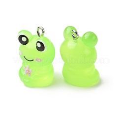 Transparent Resin Pendants&nbsp;RESI-A050-07A