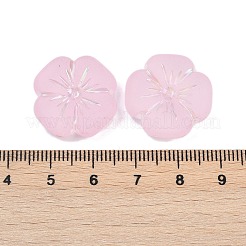 Frosted Transparent Acrylic Beads&nbsp;X1-OACR-P029-19B-05