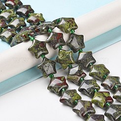 Natural Dragon Blood Jasper Beads Strands&nbsp;G-NH0005-011B