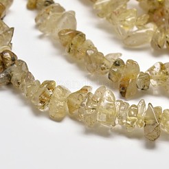 Chip Natural Gold Rutilated Quartz Beads Strands&nbsp;G-N0134-29