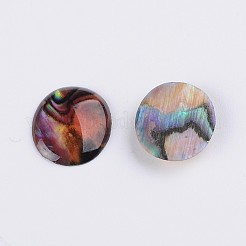 Oval Abalone Shell/Paua Shell Cabochons&nbsp;S-SSHEL-K002-12mm-03