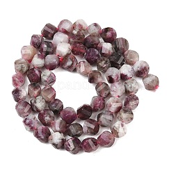 Natural Plum Blossom Tourmaline Beads Strands&nbsp;G-P611-C36-01