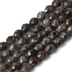 Natural Syenite Beads Strands&nbsp;G-K376-F09-01