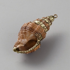 Natural Shell Pendants&nbsp;FIND-WH20019-52E