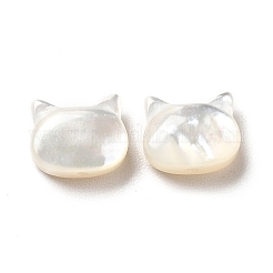 Natural White Shell Beads&nbsp;SHEL-G014-10B-01