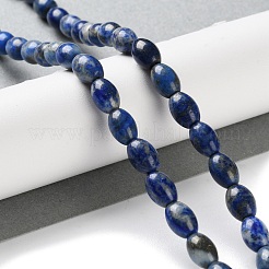 Natural Lapis Lazuli Beads Strands&nbsp;G-I369-B15-01