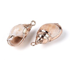 Electroplated Natural Shell Pendants&nbsp;BSHE-T015-08