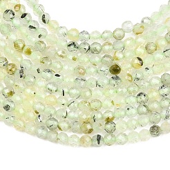 Natural Prehnite Beads Strands&nbsp;G-RM250104-A7
