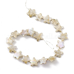 Drawbench Style Natural Freshwater Shell Beads Strands&nbsp;BSHE-E028-04