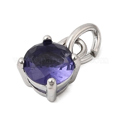 Birthdaystone Theme February 304 Stainless Steel Charms&nbsp;STAS-B128-60P-02