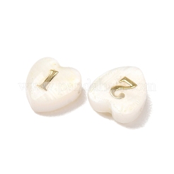 10Pcs 10 Styles Natural Shell Beads&nbsp;SH-CBAD3AC-03