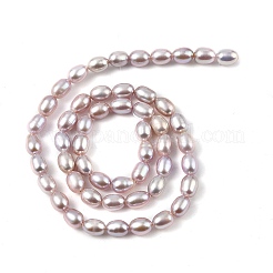 Natural Cultured Freshwater Pearl Beads Strands&nbsp;PEAR-I007-01A-03C