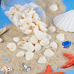 Shell Pendants&nbsp;SSHEL-TA0001-03