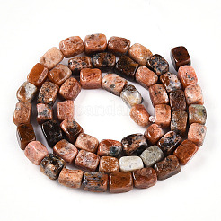 Natural Brecciated Jasper Beads Strands&nbsp;G-T141-30