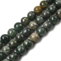 Natural Green Apatite Beads Strands&nbsp;G-K350-C04-10mm