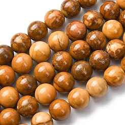 Natural Alashan Agate Beads Strands&nbsp;G-H343-D05-12mm-C